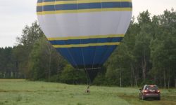 IMG 7784